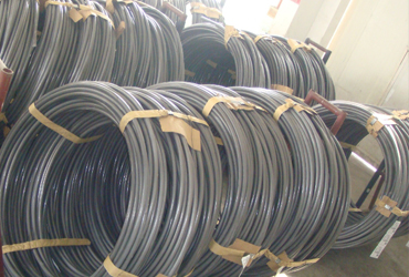 Free cutting steel wire rod